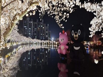 金泉市写真2