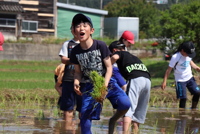 泥だらけになりながら田植えを楽しむ児童