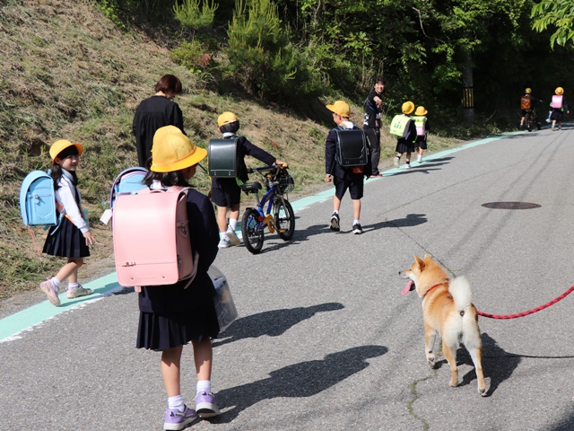 下校する児童とわんわんパトロール隊員の犬