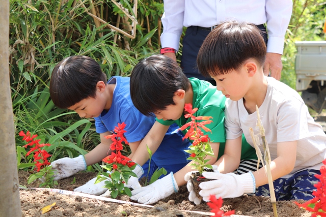 花苗を植える園児たち