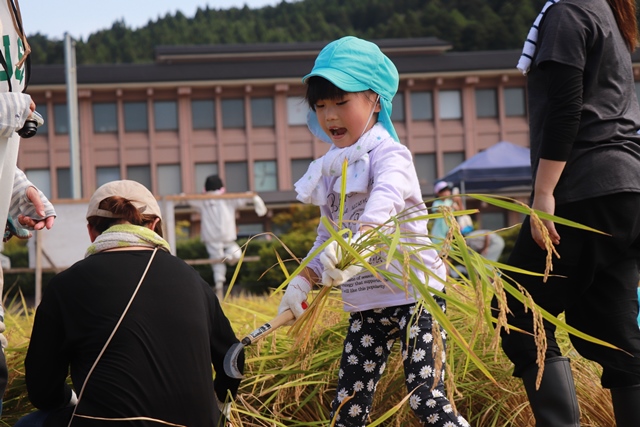 稲を手にする園児