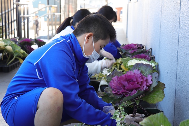 プランターに花を植え替える児童