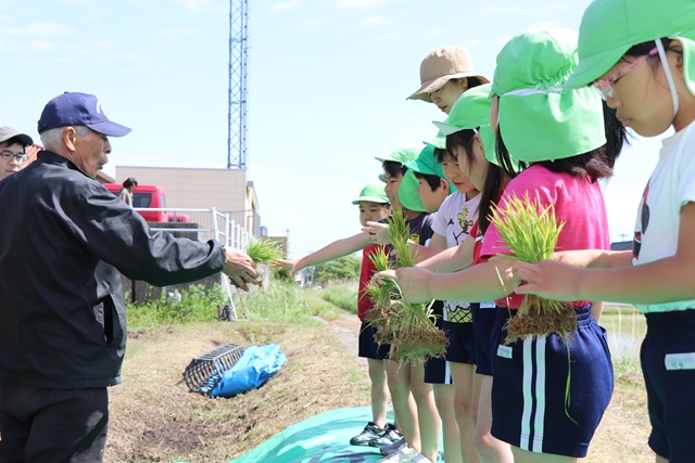 園児に苗の植え方を説明する高橋さん