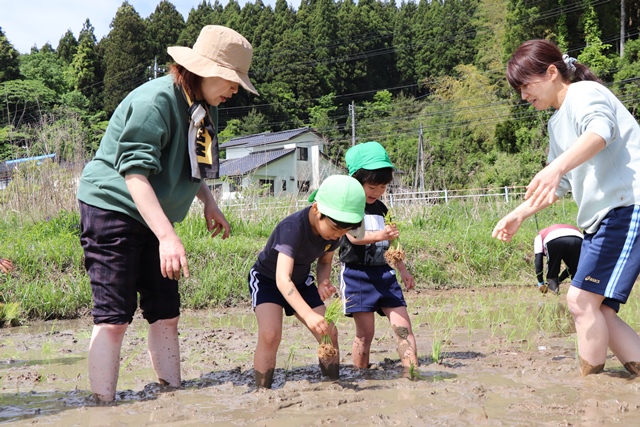 苗を植える園児