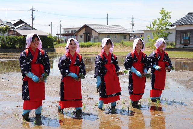 稲を植える早乙女姿の5人