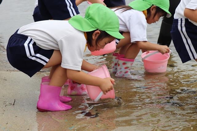 稚魚を海に放す園児
