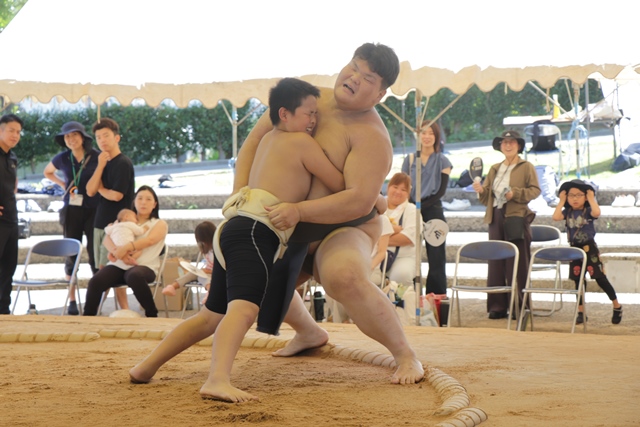 大学生との取り組みの様子